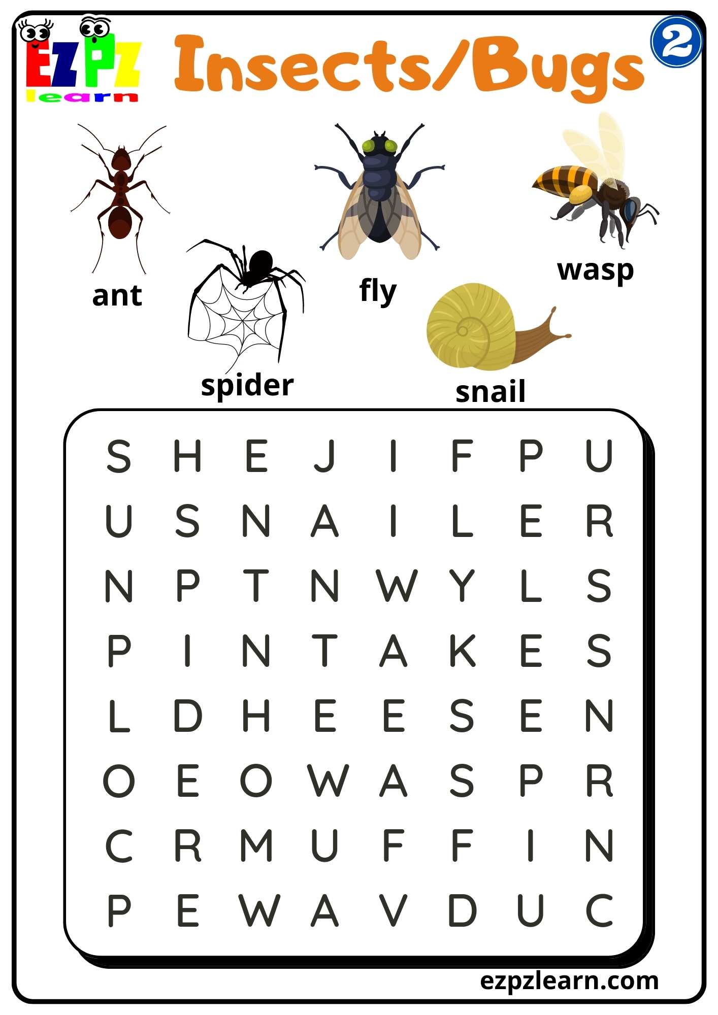 Group 2 Insects and Bugs Word Search Worksheet PDF Download For Homeschool and ESL Students